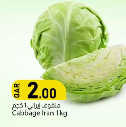Cabbage from Iran available at Dana Market in Qatar - Al Daayen