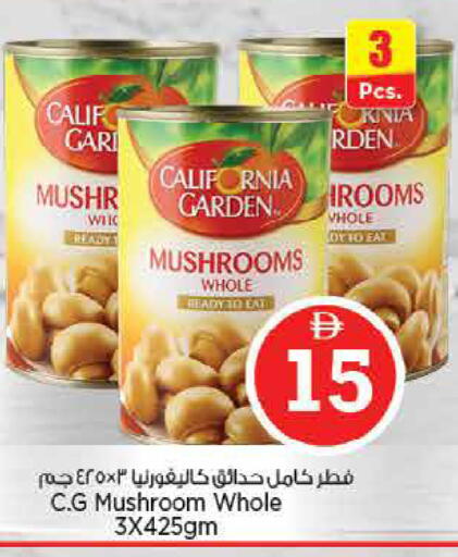 Mushroom available at نستو هايبرماركت in الإمارات العربية المتحدة , الامارات - دبي