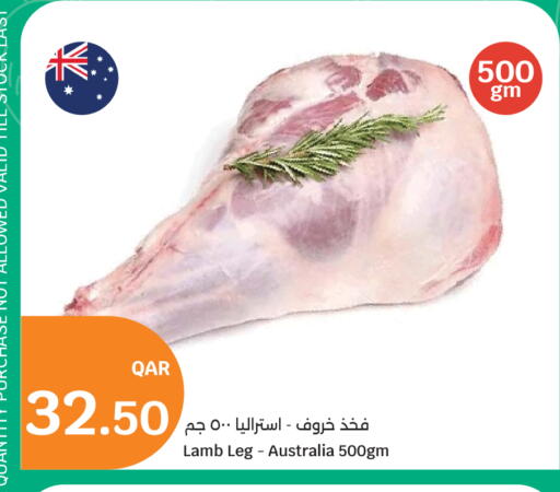 available at سيتي هايبرماركت in قطر - الوكرة