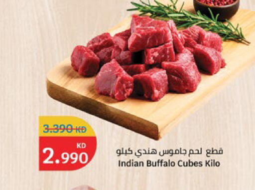 available at City Hypermarket in Kuwait - Jahra Governorate