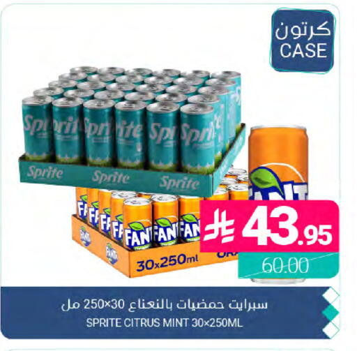 Mint available at Muntazah Markets in KSA, Saudi Arabia, Saudi - Dammam