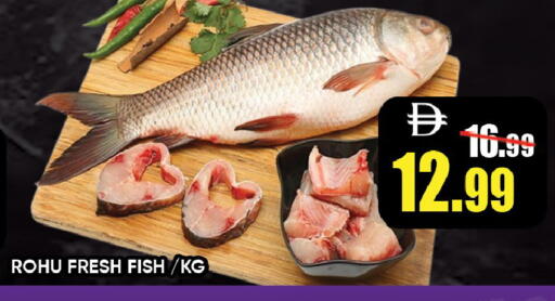 available at ليبتس هايبرماركت in الإمارات العربية المتحدة , الامارات - رَأْس ٱلْخَيْمَة