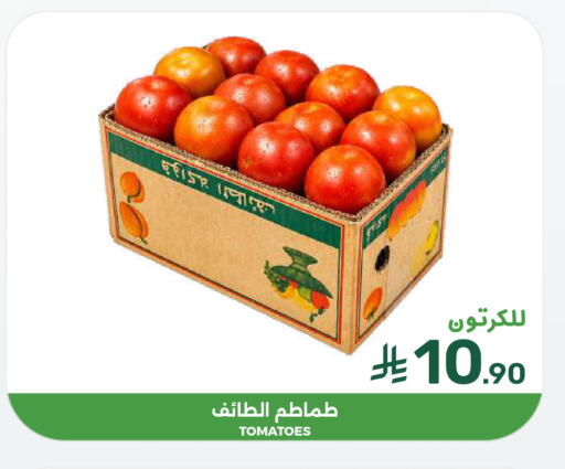 Tomato available at  مـزايــا in مملكة العربية السعودية, السعودية, سعودية - المنطقة الشرقية