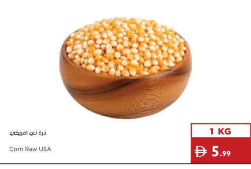 available at إسطنبول سوبرماركت in الإمارات العربية المتحدة , الامارات - أبو ظبي