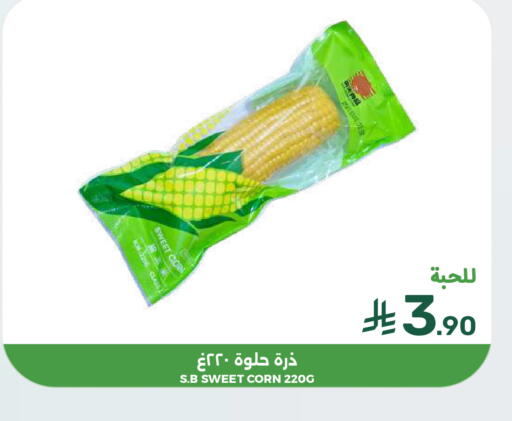 available at  مـزايــا in مملكة العربية السعودية, السعودية, سعودية - المنطقة الشرقية