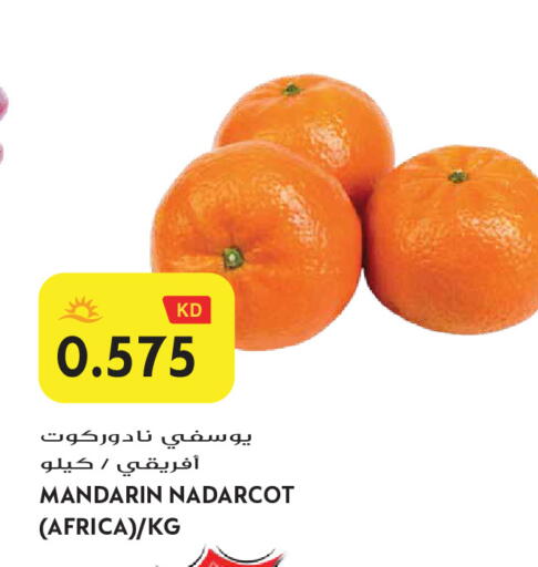 Mandarin available at Grand Hyper in Kuwait - Jahra Governorate