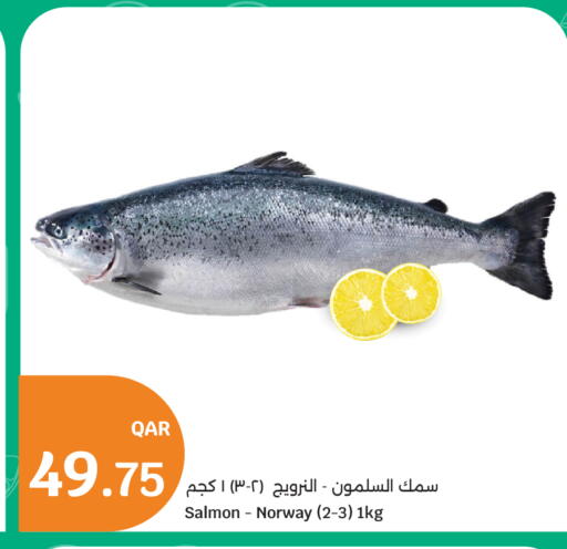 available at City Hypermarket in Qatar - Al Khor