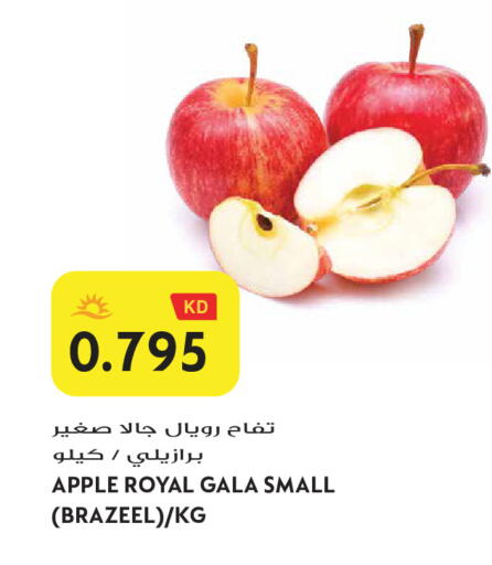 Apple available at Grand Hyper in Kuwait - Jahra Governorate