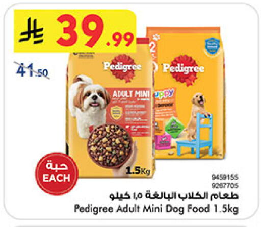 available at بن داود in مملكة العربية السعودية, السعودية, سعودية - خميس مشيط