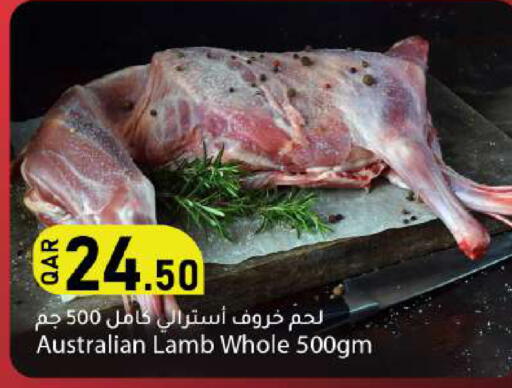 available at دانا ماركت in قطر - الخور