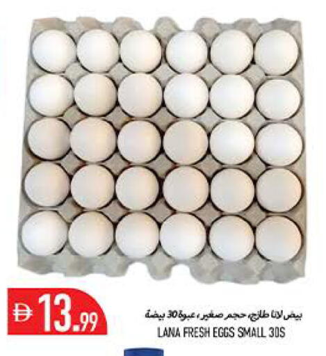 available at  روابي ماركت عجمان in الإمارات العربية المتحدة , الامارات - الشارقة / عجمان