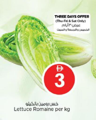Lettuce available at نستو هايبرماركت in الإمارات العربية المتحدة , الامارات - دبي