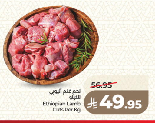 available at لولو هايبرماركت in مملكة العربية السعودية, السعودية, سعودية - المدينة المنورة