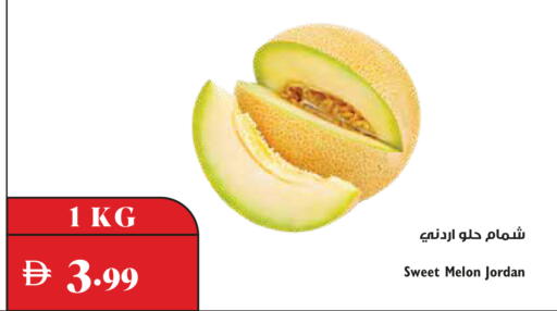 Melon from Jordan available at Trolleys Supermarket in UAE - Dubai
