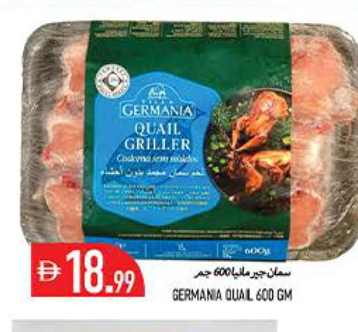 available at  روابي ماركت عجمان in الإمارات العربية المتحدة , الامارات - الشارقة / عجمان