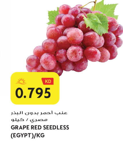 from Egypt available at Grand Hyper in Kuwait - Jahra Governorate