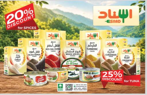 Chili Pepper Pepper Garlic Turmeric Coriander Cinnamon available at الدانوب in مملكة العربية السعودية, السعودية, سعودية - تبوك