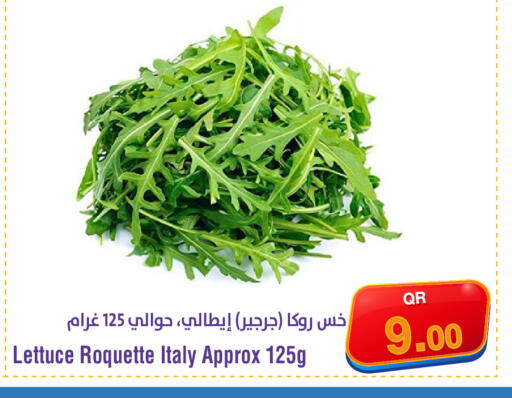 Lettuce from Italy available at ميغا مارت in قطر - الوكرة