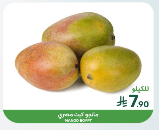 Mango from Egypt available at Mazaya in KSA, Saudi Arabia, Saudi - Dammam