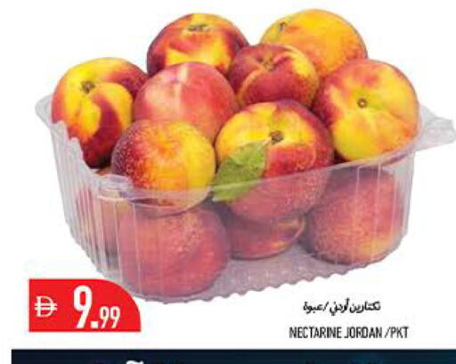 Nectarine from Jordan available at  روابي ماركت عجمان in الإمارات العربية المتحدة , الامارات - الشارقة / عجمان