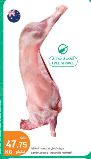 available at City Hypermarket in Qatar - Doha
