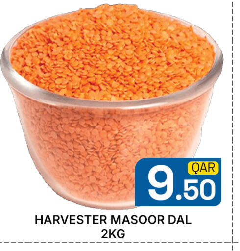 available at مجلس هايبرماركت in قطر - الريان