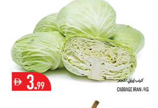 Cabbage from Iran available at  روابي ماركت عجمان in الإمارات العربية المتحدة , الامارات - الشارقة / عجمان