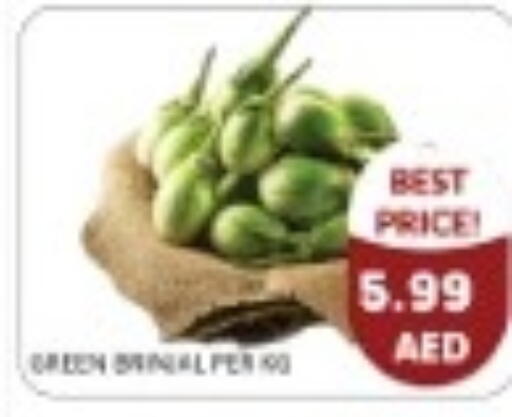 available at متجر الهدايا الخضراء in الإمارات العربية المتحدة , الامارات - أبو ظبي