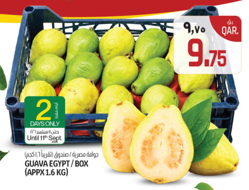 Guava from Egypt available at كنز ميني مارت in قطر - الوكرة