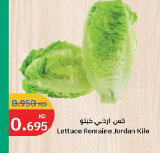 Lettuce from Jordan available at City Hypermarket in Kuwait - Jahra Governorate