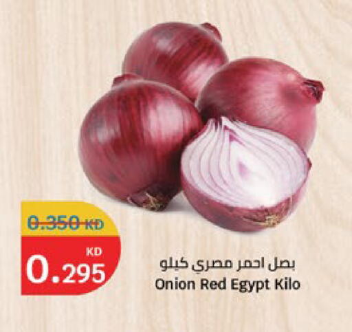 Onion from Egypt available at City Hypermarket in Kuwait - Jahra Governorate