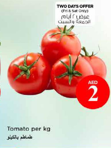 Tomato available at نستو هايبرماركت in الإمارات العربية المتحدة , الامارات - دبي
