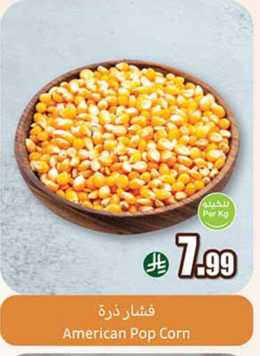 available at Othaim Markets in KSA, Saudi Arabia, Saudi - Medina