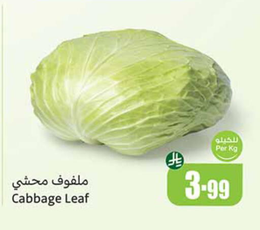 Cabbage available at أسواق عبد الله العثيم in مملكة العربية السعودية, السعودية, سعودية - المدينة المنورة