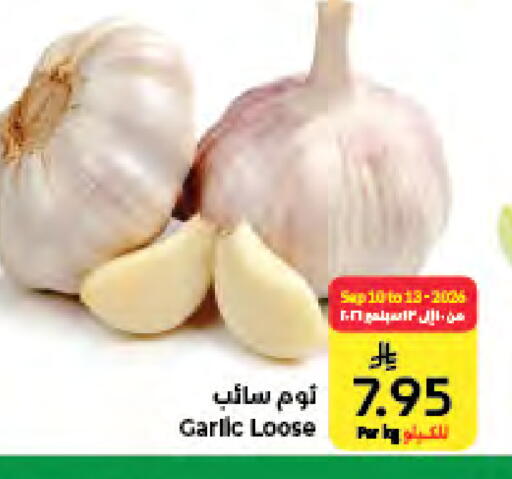 Garlic available at كبايان هايبرماركت in مملكة العربية السعودية, السعودية, سعودية - جدة