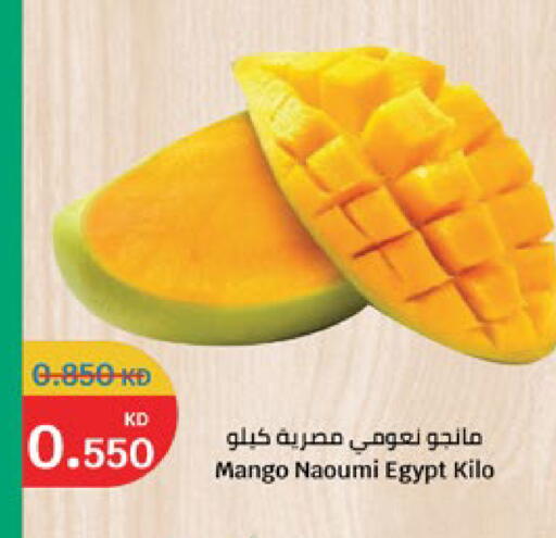 Mango from Egypt available at City Hypermarket in Kuwait - Jahra Governorate
