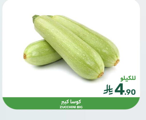 Zucchini available at Mazaya in KSA, Saudi Arabia, Saudi - Dammam