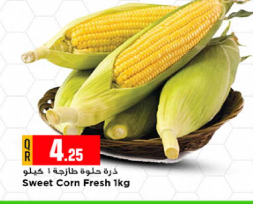 available at مرزا هايبرماركت in قطر - الشحانية