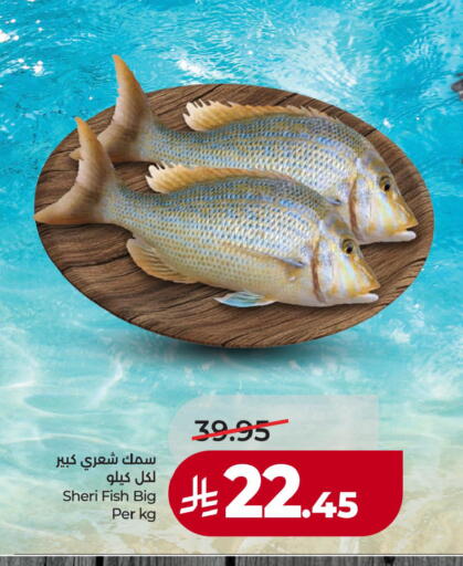 available at لولو هايبرماركت in مملكة العربية السعودية, السعودية, سعودية - الخبر‎
