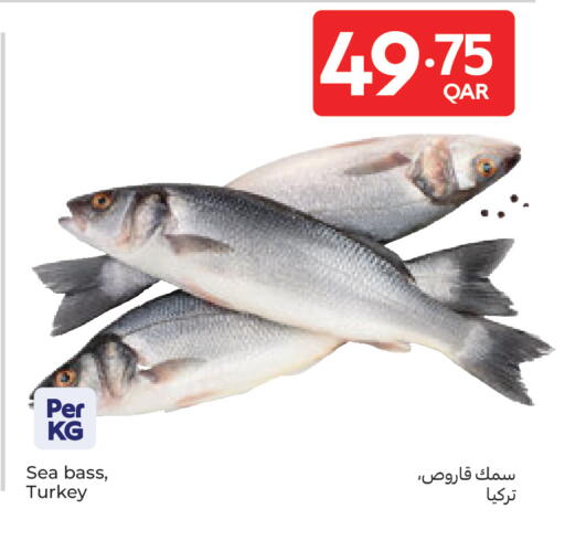 available at كارفور in قطر - الضعاين