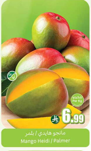 Mango available at أسواق عبد الله العثيم in مملكة العربية السعودية, السعودية, سعودية - المدينة المنورة