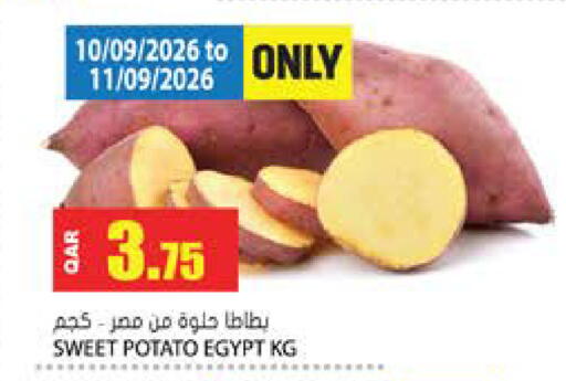 Sweet Potato from Egypt available at Grand Hypermarket in Qatar - Doha