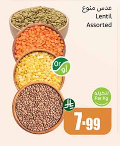 available at Othaim Markets in KSA, Saudi Arabia, Saudi - Medina