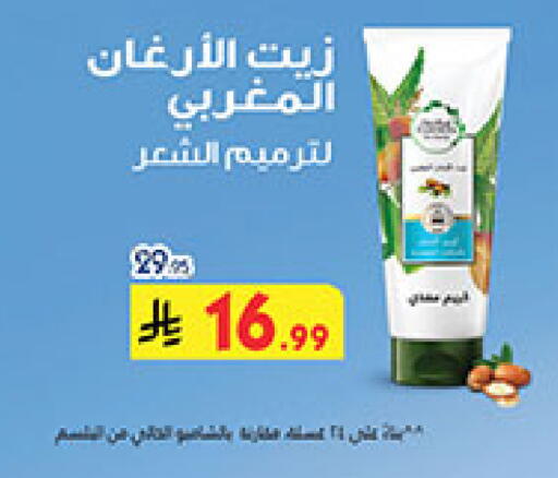 available at بن داود in مملكة العربية السعودية, السعودية, سعودية - المدينة المنورة