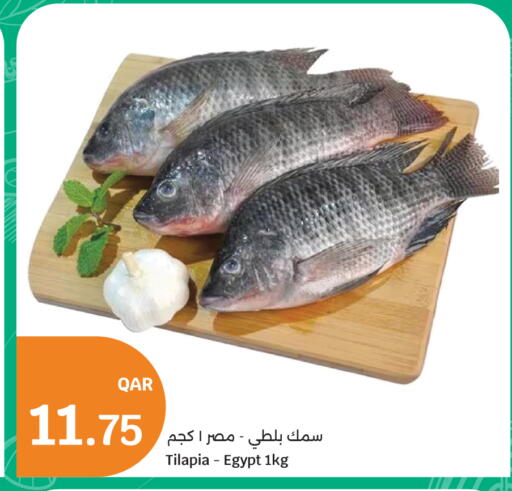 available at City Hypermarket in Qatar - Al Khor