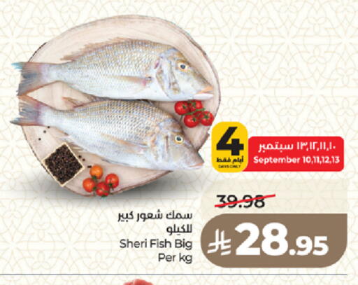 available at لولو هايبرماركت in مملكة العربية السعودية, السعودية, سعودية - المدينة المنورة