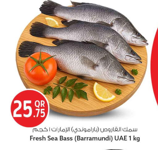 available at سفاري هايبر ماركت in قطر - الدوحة