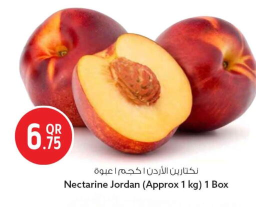Nectarine from Jordan available at Safari Hypermarket in Qatar - Doha