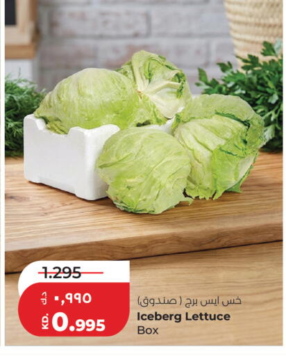 Lettuce available at Lulu Hypermarket  in Kuwait - Jahra Governorate