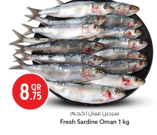 available at سفاري هايبر ماركت in قطر - الوكرة